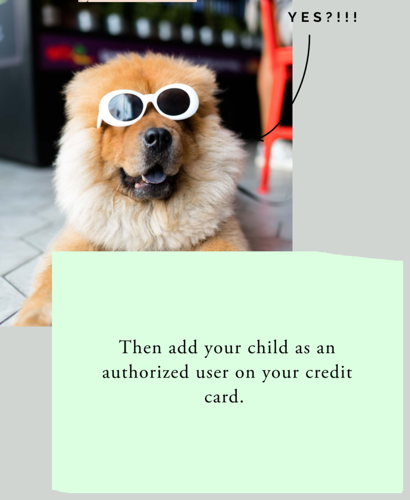 teen first credit card tips